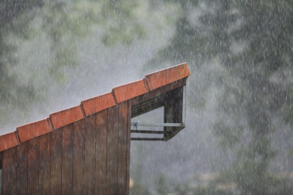 20190803 SKN vs Diosgyöri 0O5A1026 20190803 SKN vs Diosgyöri 0O5A1026