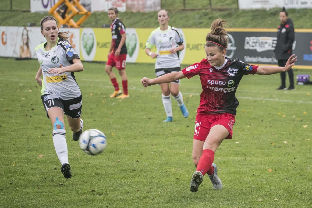 _DSC2632 Ikerna, Schasching